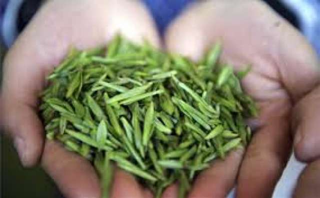أطعمة وأعشاب صحية للكبد