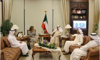 نائب وزير الخارجية الكويتى يلتقى...