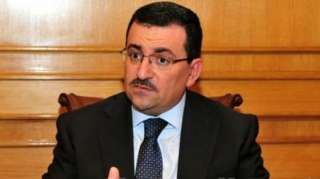 أسامة هيكل: تشكيل المجالس الخاصة...