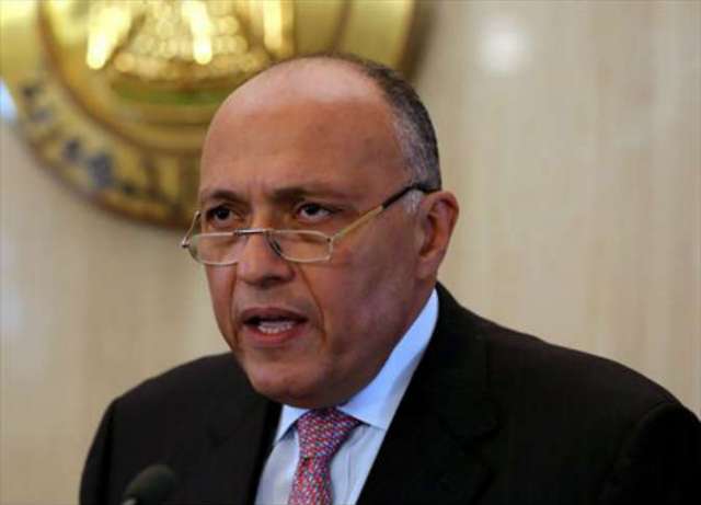 وزير الخارجية سامح شكرى