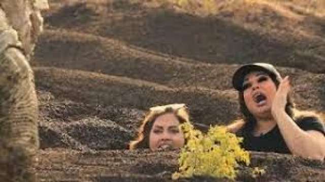 الفنانة فيفي عبدة