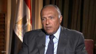 ” شكرى” لرئيس البرلمان العراقى:...