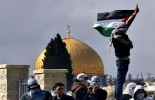 دبلوماسي فلسطيني : الوضع في...