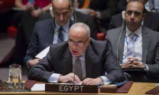برئاسة مصر.. مجلس الأمن يعتمد...