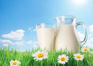 فوائد الحليب البارد