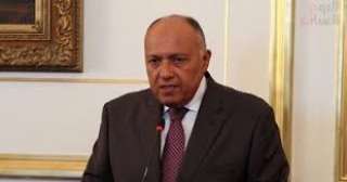 اليوم.. سامح شكرى يلتقى صهر...