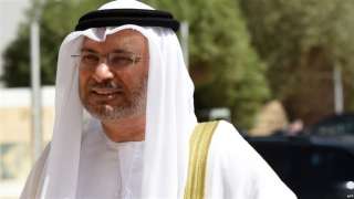 وزير خارجية الإمارات يشيد بدور...