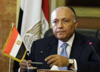وزير الخارجية: كل أجهزة الدولة...