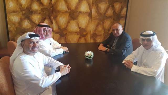 شكري يجري مشاورات سياسية على هامش مشاركته في منتدى ”صير بني ياس”