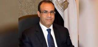 بالفيديو..سفير مصر بألمانيا: شكرى يعرض...