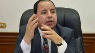 نائب وزير المالية: مصر دخلت...