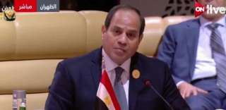 إعلامية :كلمة السيسي بالقمة العربية...
