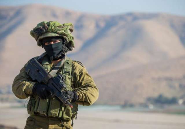 ارشيفية