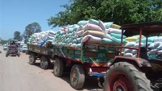 توريد 462 ألفا و779 طن...