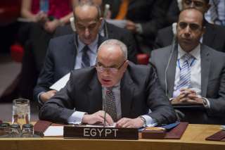 مندوب مصر لدى الأمم المتحدة...