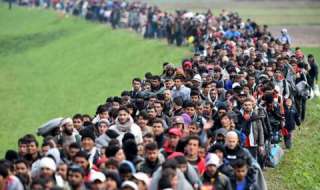 الجزائر تعيد نحو 400 مهاجر...