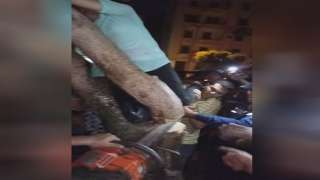 شاهد..إنقاذ طفلة من أعلى شجرة...