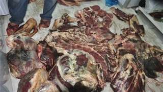 ضبط 2 طن لحوم فاسدة...
