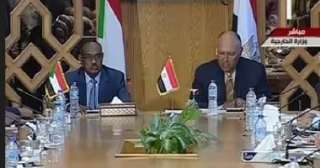 وزير الخارجية يؤكد أهمية التنسيق...