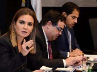 الاستثمار تعتزم إنشاء 4 مناطق...