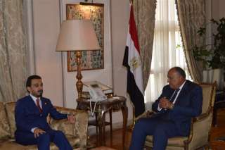 شكري يبحث مع رئيس النواب...