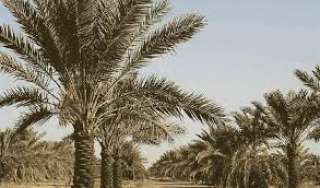 اليوم.. انطلاق فعاليات دراسة القيمة...