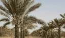 اليوم.. انطلاق فعاليات دراسة القيمة...