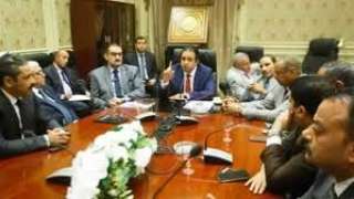 مصر السلام تشيد برؤية لجنة...