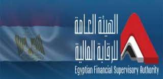 الرقابة المالية تناقش دورها في...