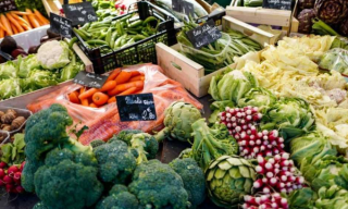 10 أطعمة لعلاج هشاشة العظام