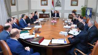 السيسي يبحث مع رئيس قطاع...