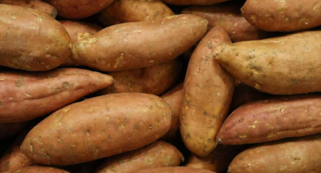 البطاطا الحلوة.. كيف تفيد مرضى السكري؟