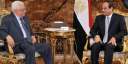 السيسي: مصر مستمرة في جهودها...