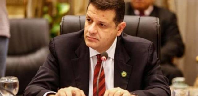 النائب/ طارق رضوان،