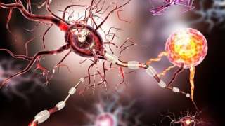 التهاب الاعصاب وطرق العلاج بالاعشاب