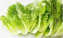 فوائد الخس المتعددة