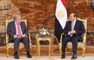 السيسي يناقش مع أمين عام...