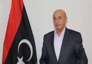 بالفيديو.. رئيس النواب الليبي: مصر...