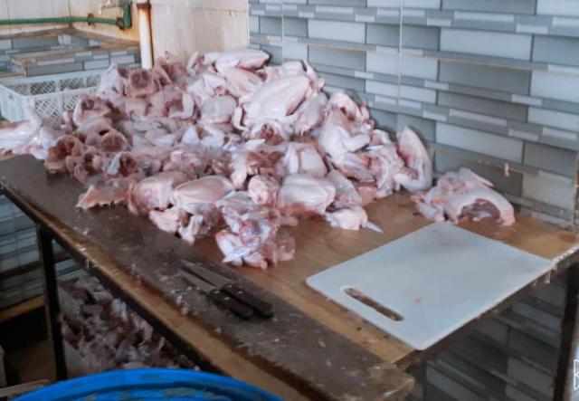  ضبط طن دواجن غير صالحة للاستهلاك الآدمي بمجزر غير مرخص في بيلا(صور)