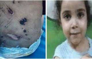 جنايات المنصورة ترجأ  نظر...