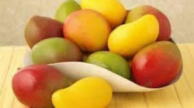 أسعار المانجو بسوق العبور اليوم 19 أكتوبر