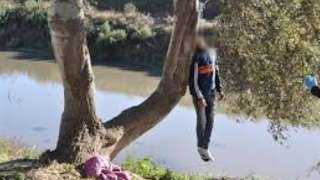 انتحار موظف علي ”جذع شجرة”...