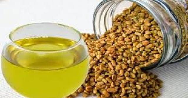 فوائد الحلبة للشعر