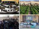 قوات حرس الحدود تواصل جهودها...