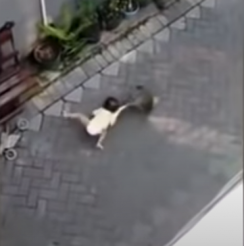 بالفيديو.. قرد يختطف طفلة من وسط عائلتها