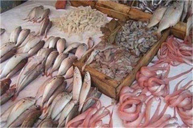 استقرار أسعار الأسماك في سوق العبور اليوم