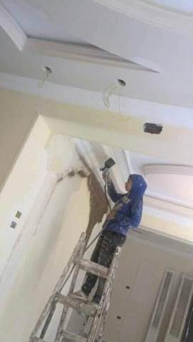 هاجر أشراف أول أوسطى نقاشة فى مصر