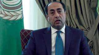 السفير حسام زكى: التدخل التركى...