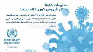ياسمين فؤاد: ضرورة رفع الوعي...