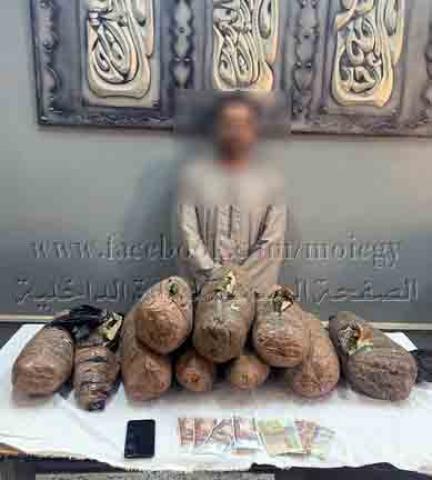 ضبط أحد العناصر الإجرامية بالجيزة وبحوزته 30 كيلو جرام من نبات البانجو المخدر بقصد الإتجار